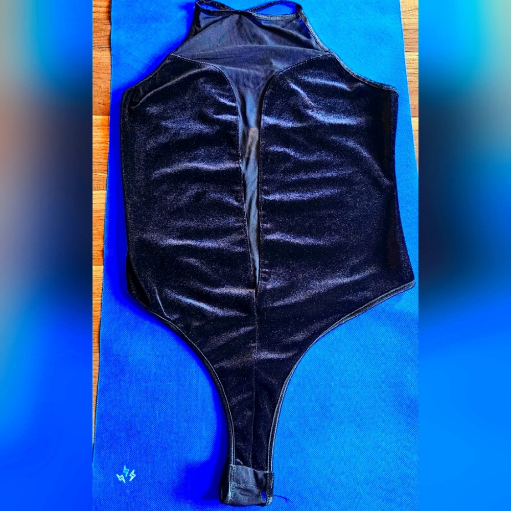 Velvet Cat MeshOne piece Top